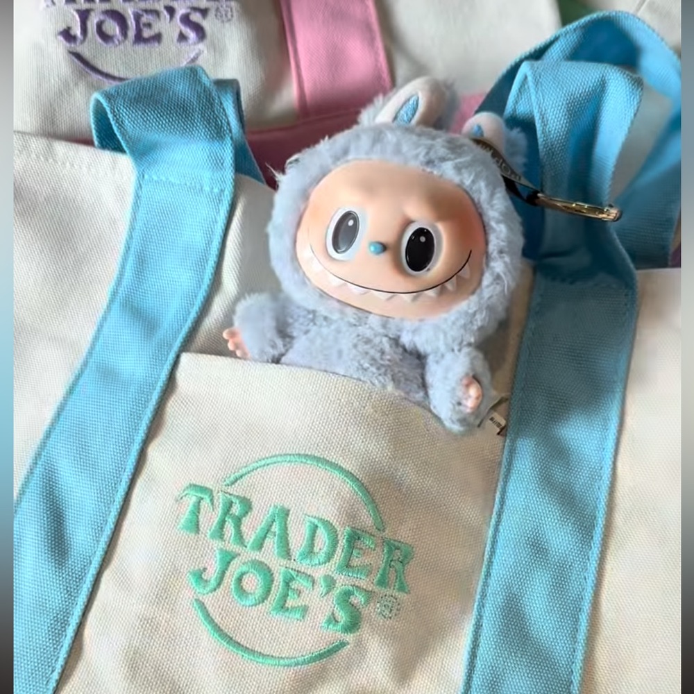 Trader Joe’s Blue Canvas Mini Tote Bag